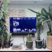 Televisie met NLZiet erop. en heel veel planten eromheen.