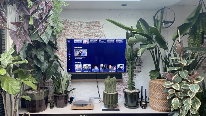 Televisie met NLZiet erop. en heel veel planten eromheen.